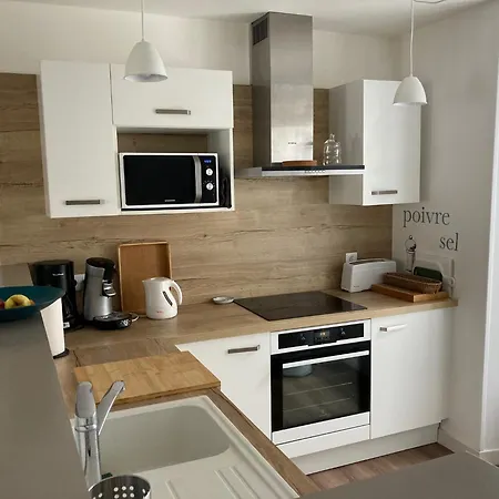 Les Chamois Du Sancy Apartment Le Mont-Dore Exterior photo